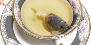 おすすめのお土産　CHARM VILLAの『金魚のティーバッグ』